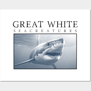 Shark White Posters and Art